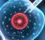 微刺激方案取卵3个试管成功率如何？