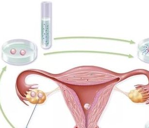 感染单纯疱疹病毒,口服更昔洛韦并不被推荐